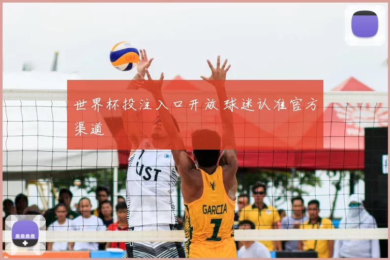 世界杯投注入口开放 球迷认准官方渠道