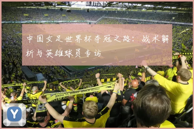 中国女足世界杯夺冠之路：战术解析与英雄球员专访