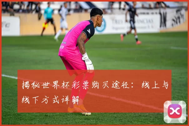 揭秘世界杯彩票购买途径:线上与线下方式详解