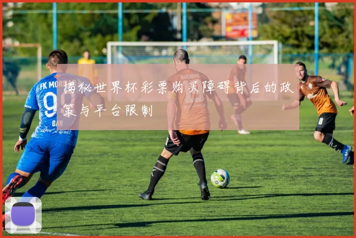 揭秘世界杯彩票购买障碍背后的政策与平台限制