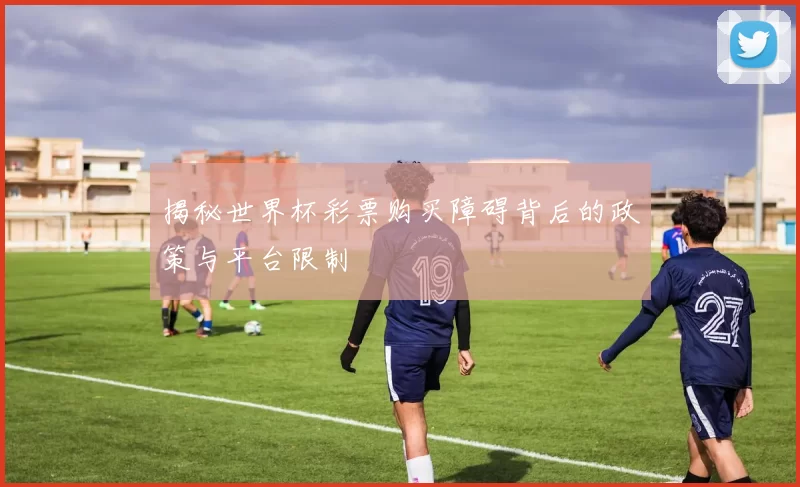 揭秘世界杯彩票购买障碍背后的政策与平台限制