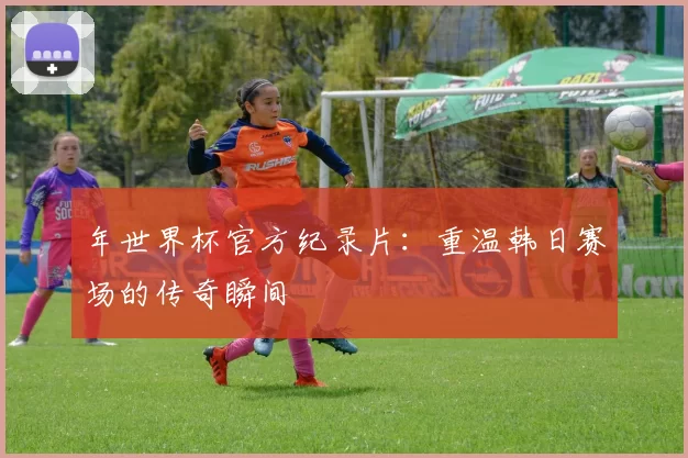 年世界杯官方纪录片：重温韩日赛场的传奇瞬间