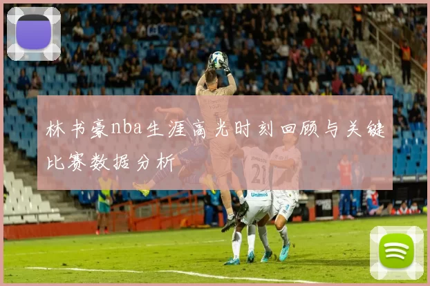 林书豪nba生涯高光时刻回顾与关键比赛数据分析
