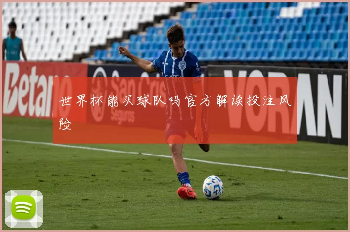 世界杯能买球队吗官方解读投注风险