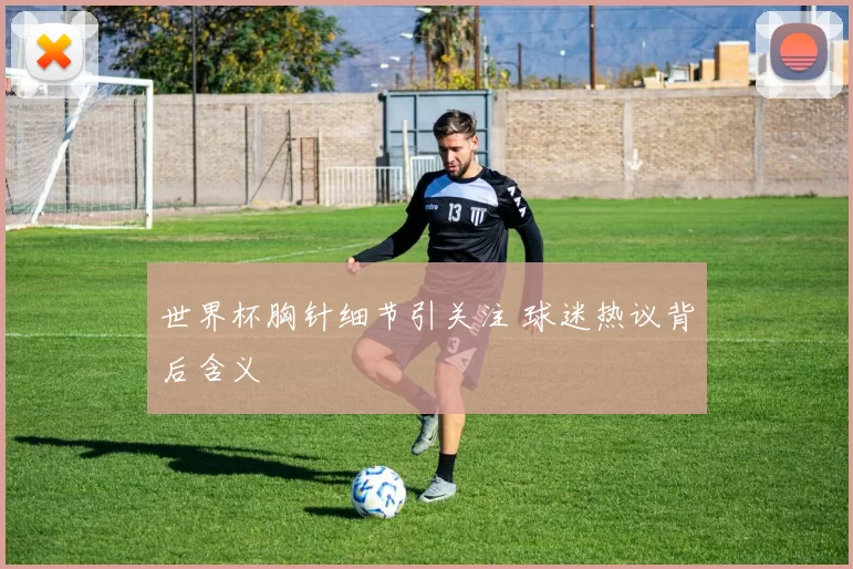 世界杯胸针细节引关注 球迷热议背后含义