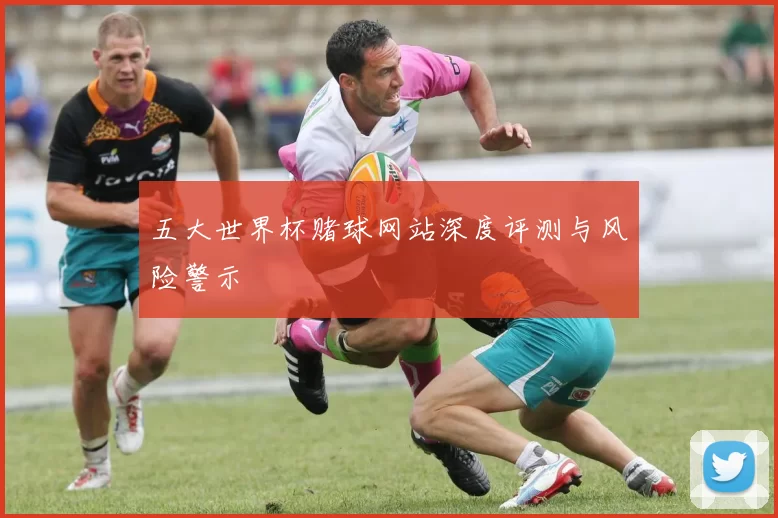 五大世界杯赌球网站深度评测与风险警示