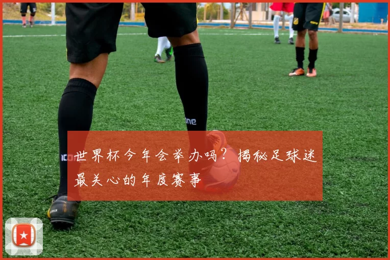 世界杯今年会举办吗？揭秘足球迷最关心的年度赛事