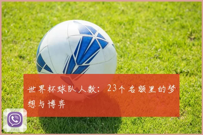 世界杯球队人数:23个名额里的梦想与博弈