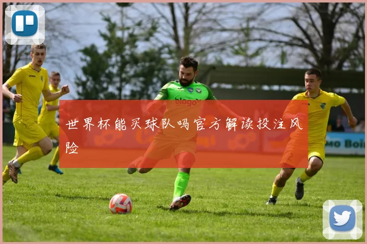 世界杯能买球队吗官方解读投注风险