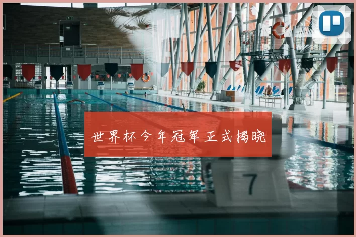 世界杯今年冠军正式揭晓